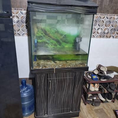 Fish Aquarium