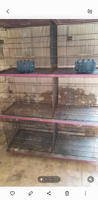 cages/ birds
