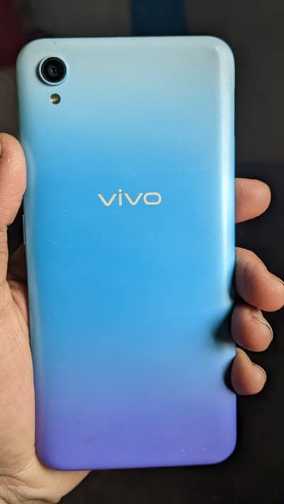 vivo 2015