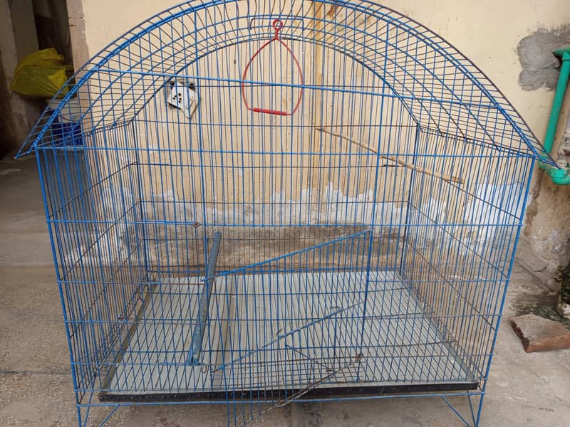 solid cage 1