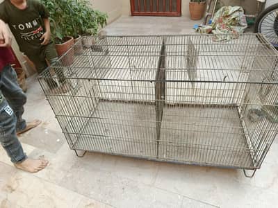Birds and hens Cage