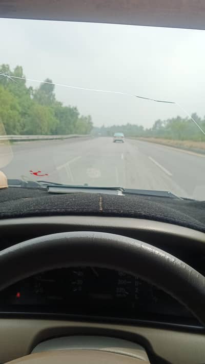 for contact whatups only