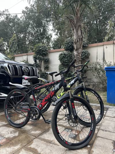 Mountain bicycle pair available