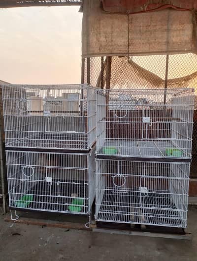 4 portion folding cage