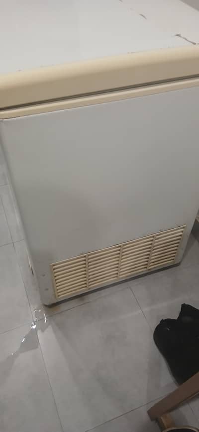 Pel Single Door Freezer Excellent Condition