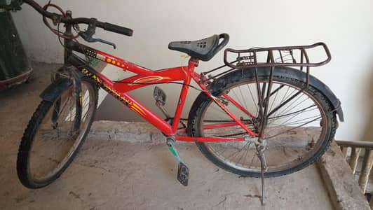 Phoenix Bicycle For Sale