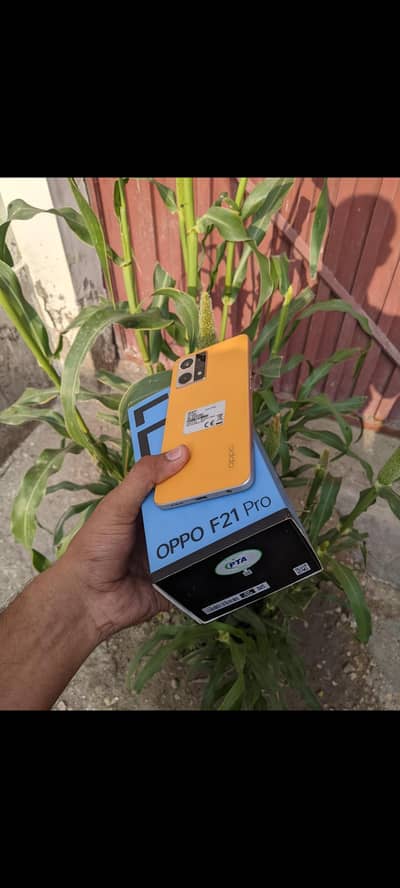 oppo f21 pro with box and charger