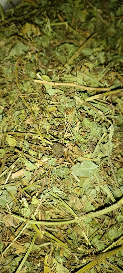 Mongphali missa | مونگ پھلی مسہ | Peanut Hay