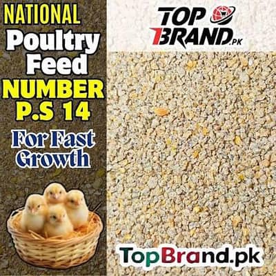 Hens Egg laying Feed