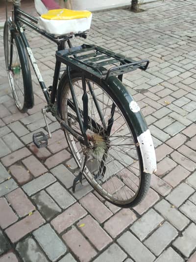 Adult cycle for sale