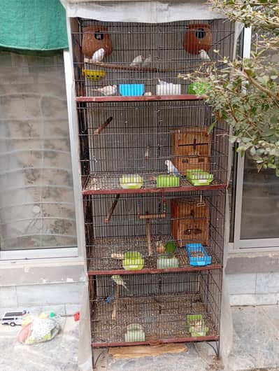 4 portion fixed cage