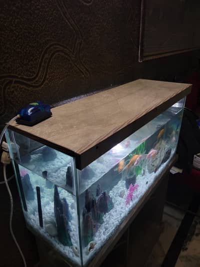 3ft Fish Aquarium