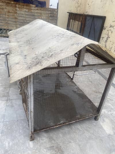 Cage for parrots and hens