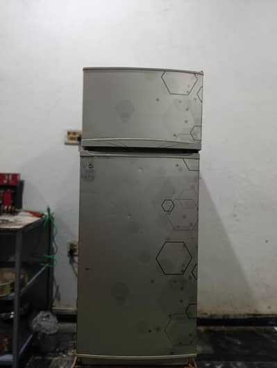 refrigerator & freezer
