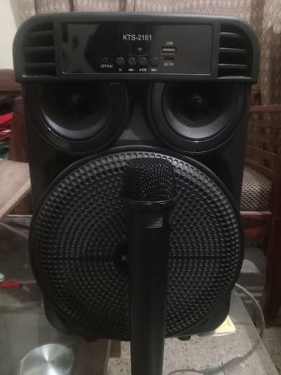 Bluetooth speaker 8" with wireless mik.