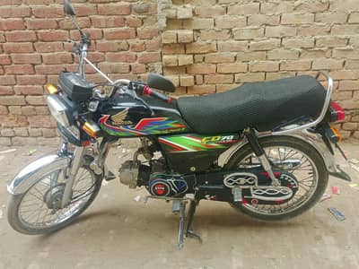 CD 70 lush condition