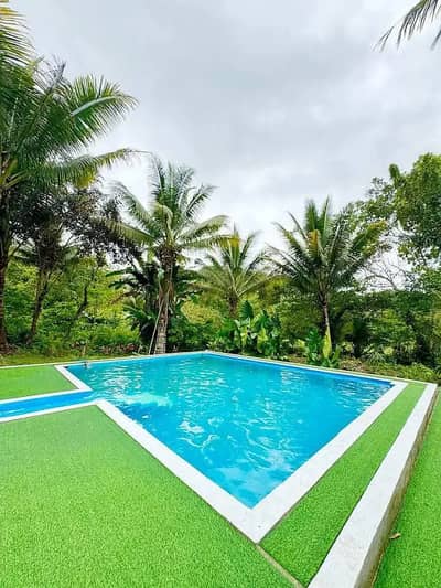 Artificial Grass/Pedal Truff/Cricket Gro/Sport nets/Grass carpet