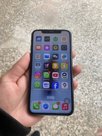 Xs pta dual approved