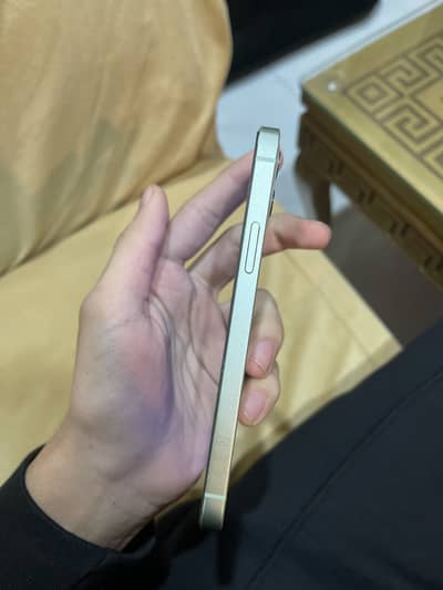 Iphone 12 pta Approved dual sim 1 sim 1 esim active