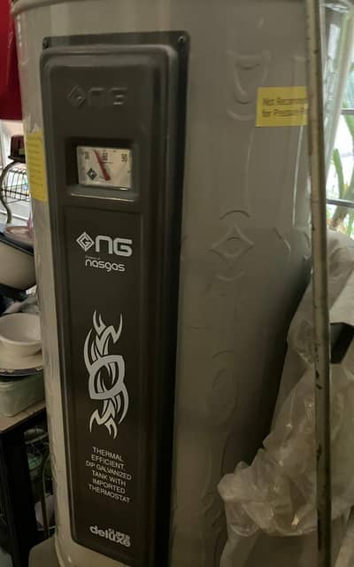 NASGAS ELECTRIC PLUS GAS GEYSER(Dual)
