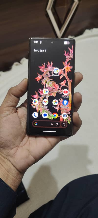 google pixel 6 fresh