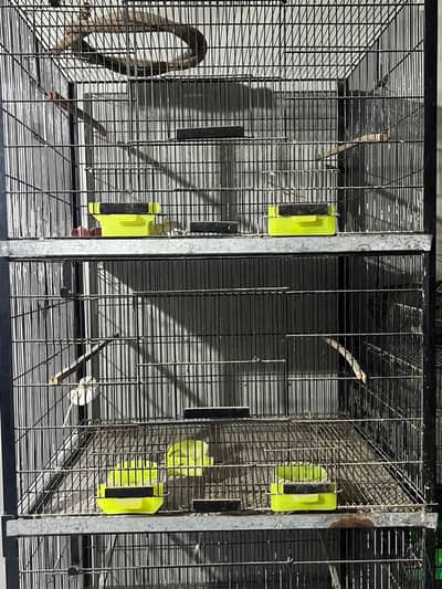 urgent sale cage