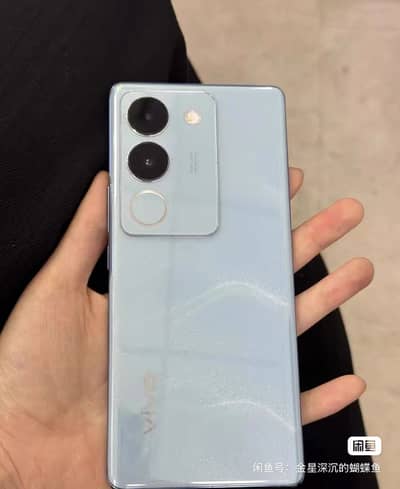 Vivo S17 / v29 12/256