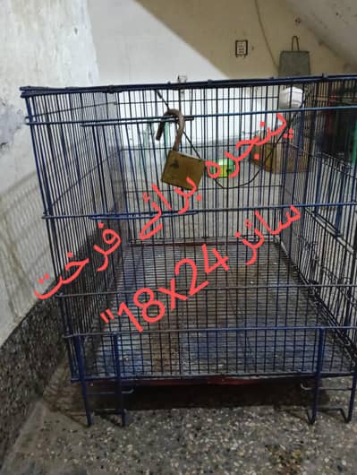 cage for Raw parrot