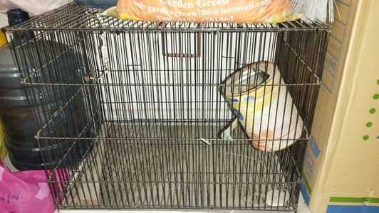 Cage for parrot or other animal hen
