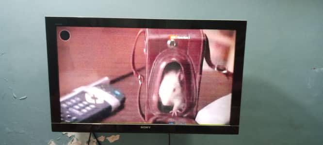 Sony Bravia 40BX420 LED TV for sale