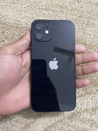 I phone 12