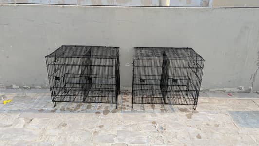 New Cages Fresh Available