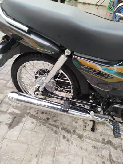 honda cd70 70 dream 2025 showroom condition PPF instal total bike