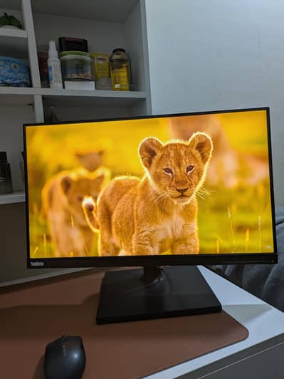 Lenonvo Think Vision T24i-10  Display