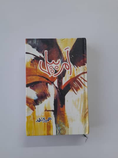 Amar Bail by Umera Ahmed – Urdu Novel (Good Condition)