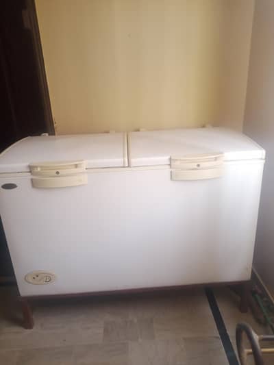 Waves D- freezer available