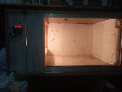 Brooder box