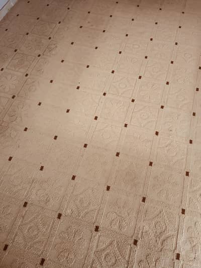 Drawing Room Carpet 12x14