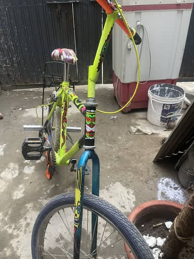 Phoenix one wheel cycle