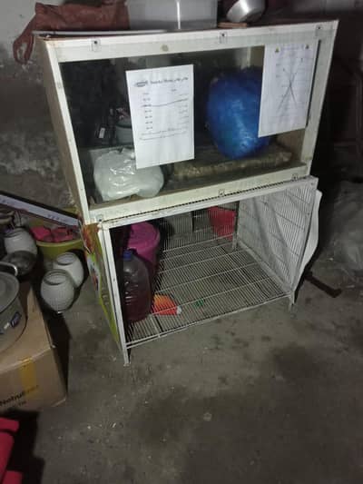 samosa fries counter