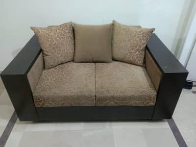 Solid wood molty foam sofa set