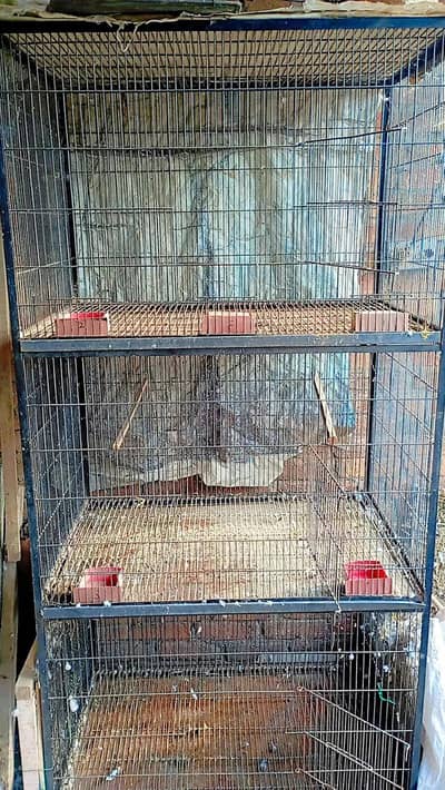 3×2×2 and 3×2×1.5 cages for sell