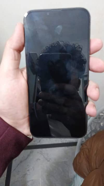 Apple iPhone 13 Pro Max