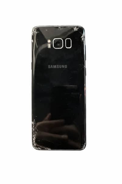 Samsung Mobile S8 PTA DUAL