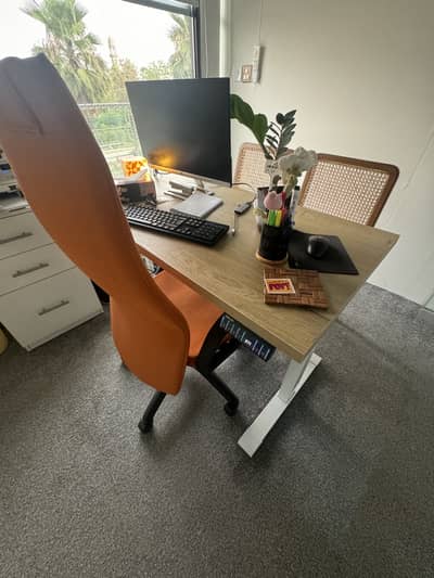 Standing Desk - Height Adjustable Electric Standing Desk - Dual Motor