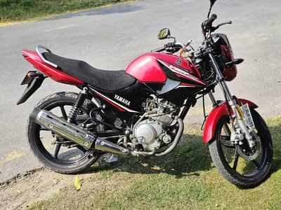 YAMAHA YBR 125