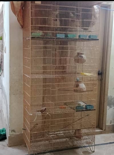 bird cage