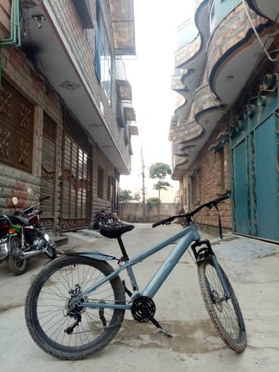 Plus Mountain Bike (2021)