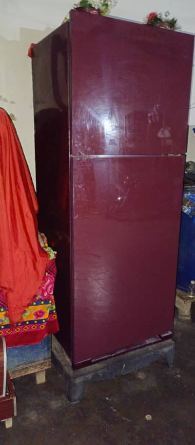 full size Orient Refrigerator