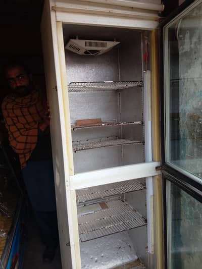 lash condition viroline coolar